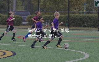 秘鲁前锋保罗·格雷罗厉害吗？南美大陆绿茵场上的安第斯雄鹰