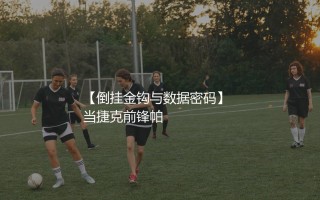 帕特里克希克欧洲杯进球数：倒挂金钩与数据密码