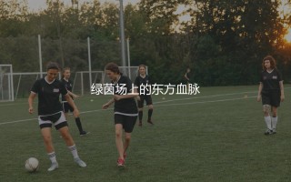 效力过法兰克福的亚洲球员：绿茵场上的东方血脉