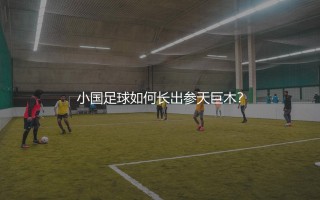 斯洛文尼亚队知名足球明星有哪些？小国足球如何长出参天巨木？