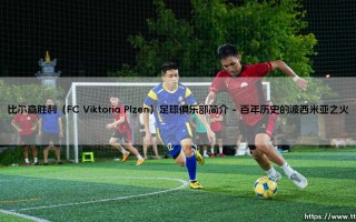 比尔森胜利（FC Viktoria Plzen）足球俱乐部简介|球门之间