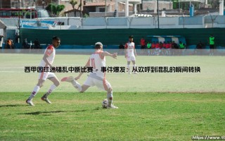 西甲因球迷骚乱中断比赛：球场暴力如何撕裂西甲因球迷骚乱中断比赛的夜晚