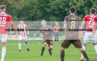 内森·费尔南德斯个人简介：解码内森·费尔南德斯的卓越旅程