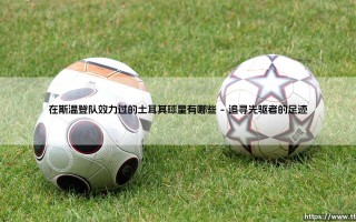 在斯温登队效力过的土耳其球星有哪些：绿茵场上的文化交汇