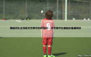 挪超球队主场有天然草坪的球场吗【绿茵视界】
