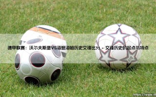 德甲联赛：沃尔夫斯堡VS海登海姆历史交锋比分「90+」