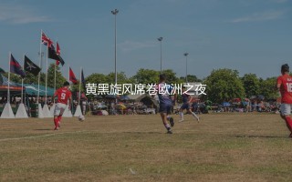 多特蒙德几次欧冠冠军？黄黑旋风席卷欧洲之夜