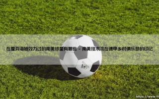 在霍芬海姆效力过的南美球星有哪些：绿茵场上的南美风情与德式纪律的交融