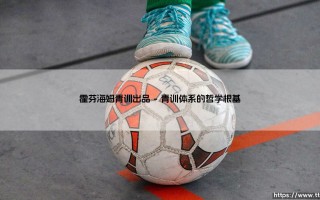 霍芬海姆青训出品：德国足坛的低调英才摇篮