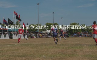 韩国世界杯最好成绩是什么?韩国世界杯征程的冰与火之歌