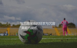 利兹联上一次踢英超是哪个赛季？埃兰路球场的狂欢与沉寂  