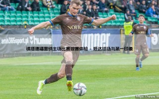 锡塔德福图纳主场比赛观赛体验：亲身感受，是怎样的足球狂欢？