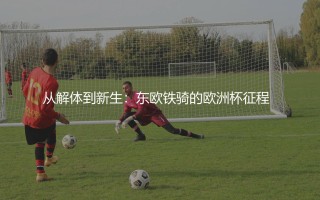 斯洛伐克队参加过几次欧洲杯？从解体到新生：东欧铁骑的欧洲杯征程  