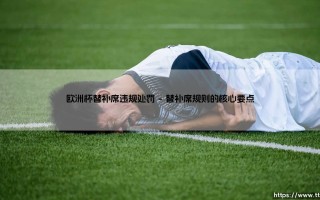 欧洲杯替补席违规处罚：球队为何频频触雷？「场边风波」背后的规则解读