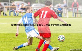 阿罗卡队历年转会净投入解析：深入探究阿罗卡队的转会净投入是多少