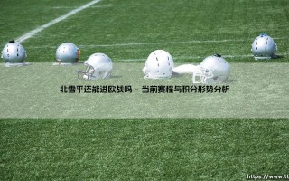 北雪平还能进欧战吗？