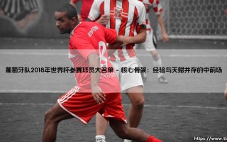 葡萄牙队2018年世界杯参赛球员大名单：欧洲冠军的俄罗斯征途，承载了哪些希望与悬念？