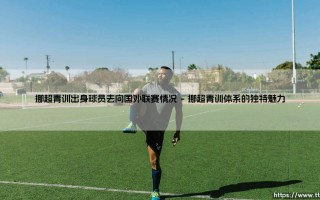 挪超青训的海外足迹：挪威足球人才的跨国征程