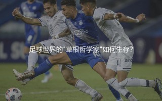 锡塔德福图纳在荷甲啥水平？足球世界的"草根哲学家"如何生存？