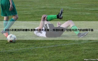 2003年美洲杯秘鲁队参赛球员大名单：一代白红军团的黄金记忆