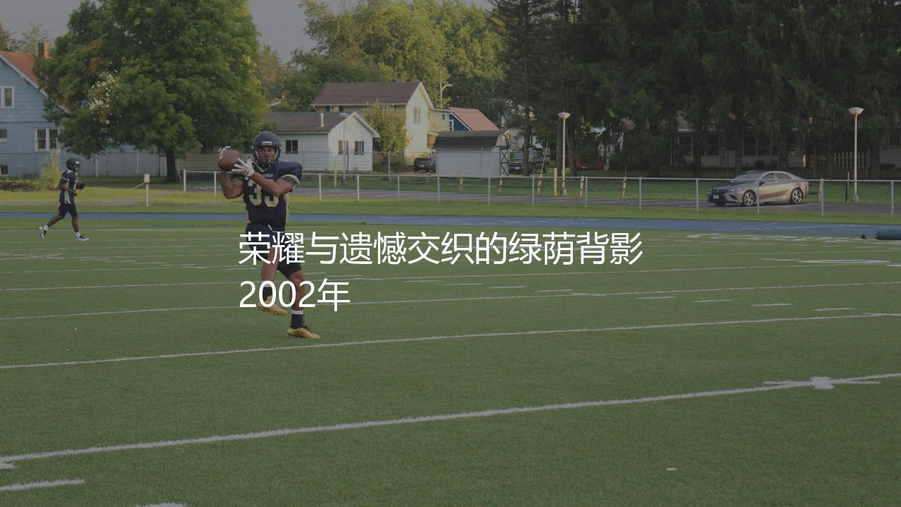 巴拉克拿过冠军吗?荣耀与遗憾交织的绿荫背影  2002年-第1张图片-天体号