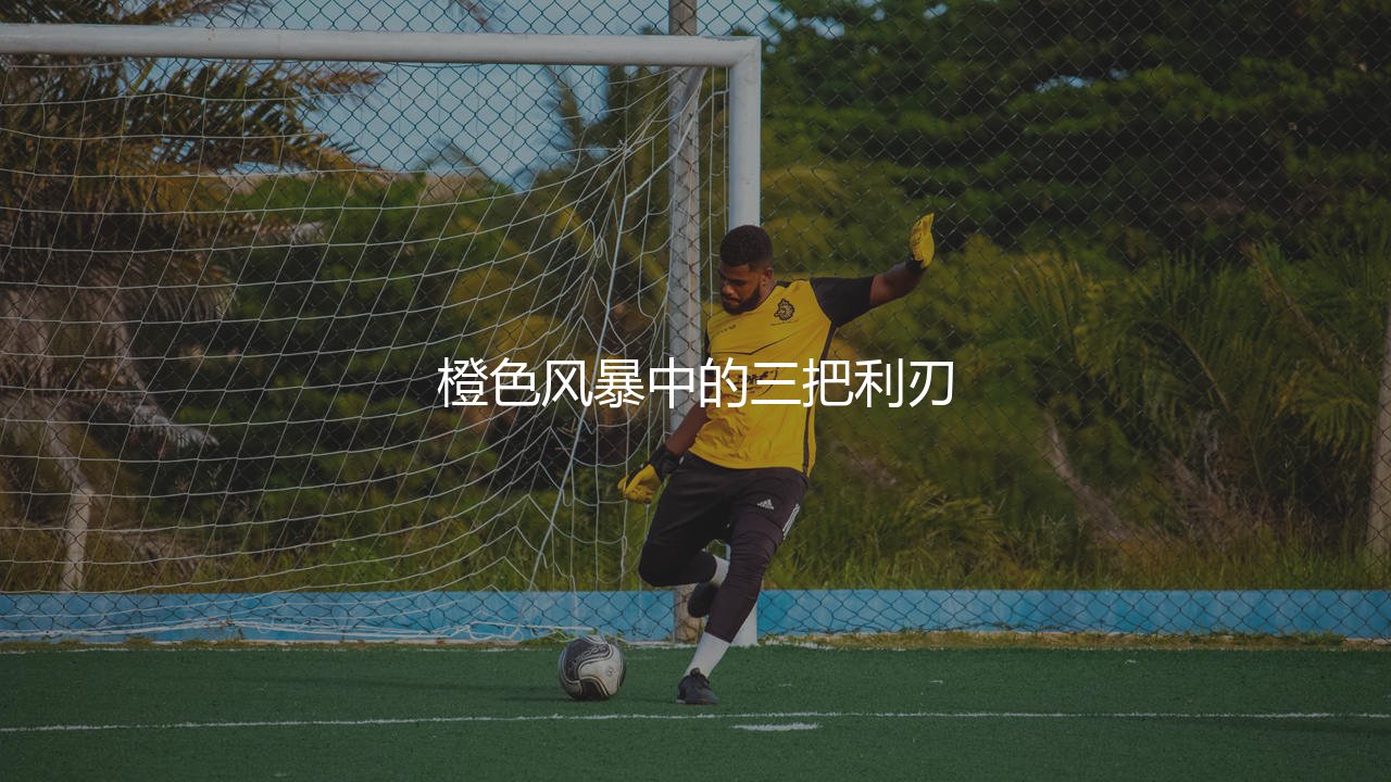荷兰三剑客谁的成就最高?橙色风暴中的三把利刃-第1张图片-天体号 荷兰三剑客谁的成就最高?橙色风暴中的三把利刃-第1张图片-天体号