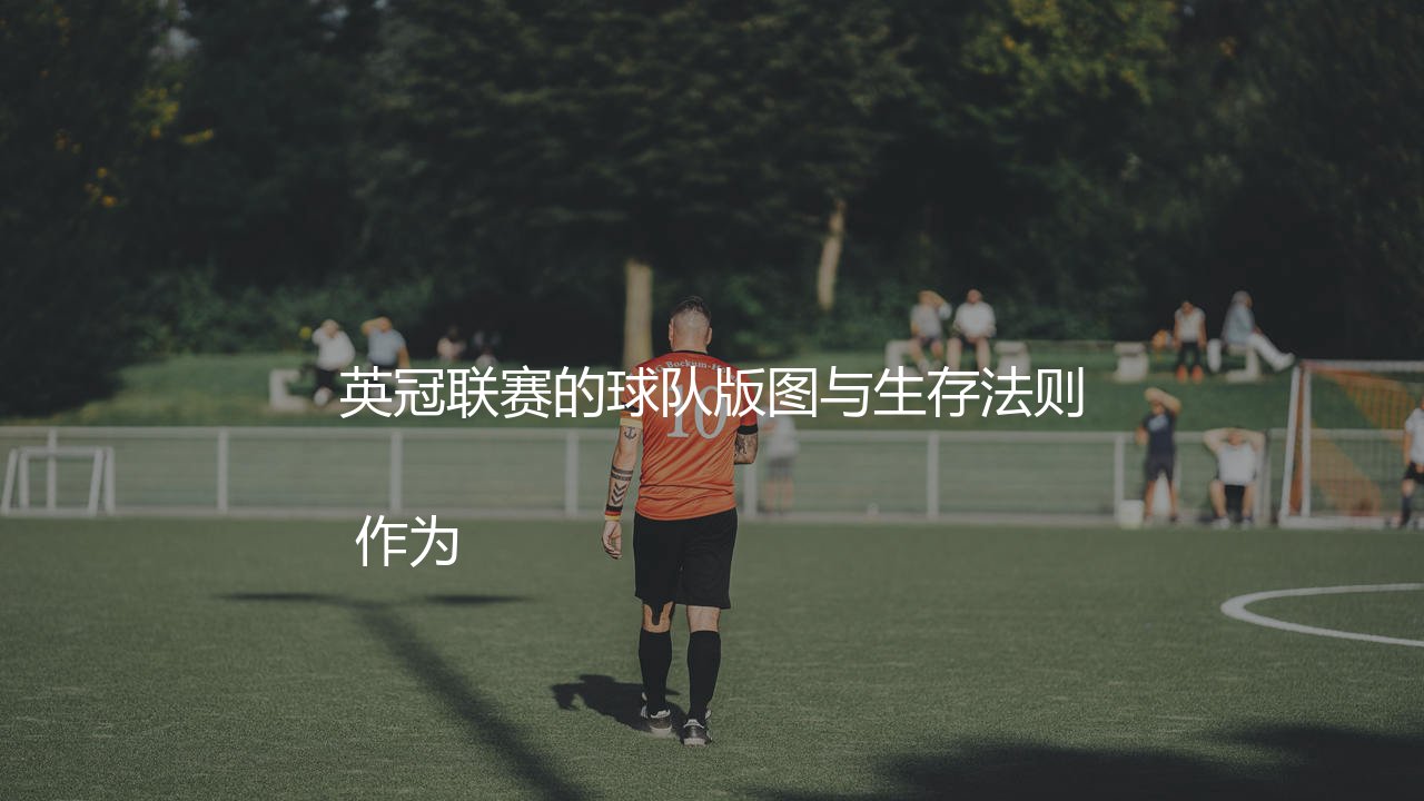 英冠多少支球队？英冠联赛的球队版图与生存法则-第1张图片-天体号