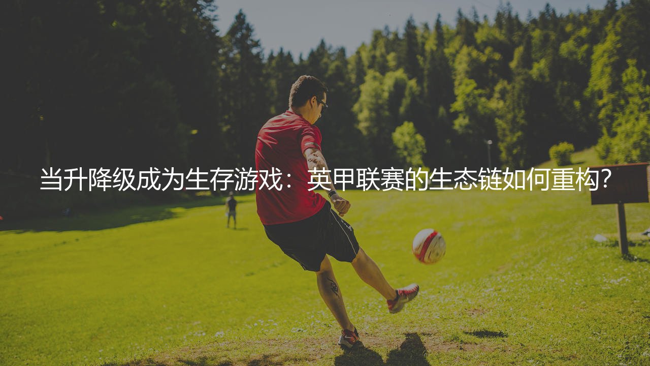 英甲升降级规则（当升降级成为生存游戏）-第1张图片-天体号