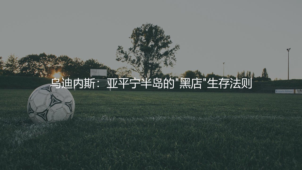 乌迪内斯是什么样的球队?亚平宁半岛的"黑店"生存法则-第1张图片-天体号 乌迪内斯是什么样的球队?亚平宁半岛的"黑店"生存法则-第1张图片-天体号