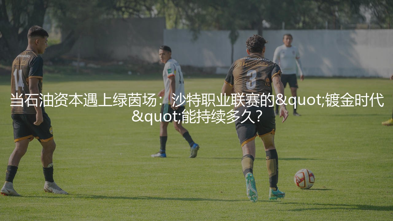 当石油资本遇上绿茵场:沙特职业联赛的"镀金时代"能持续多久?-第1张图片-天体号 当石油资本遇上绿茵场:沙特职业联赛的"镀金时代"能持续多久?-第1张图片-天体号