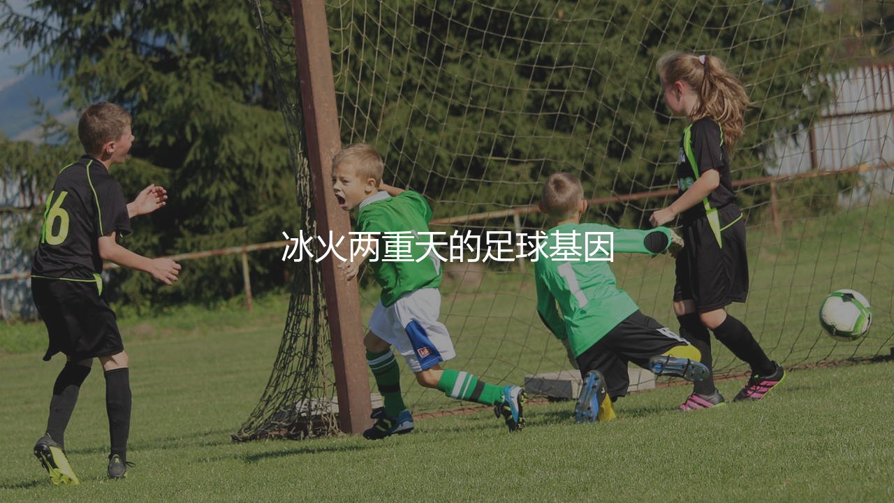 挪威国家足球队为什么总是无缘世界大赛?冰火两重天的足球基因-第1张图片-天体号 挪威国家足球队为什么总是无缘世界大赛?冰火两重天的足球基因-第1张图片-天体号