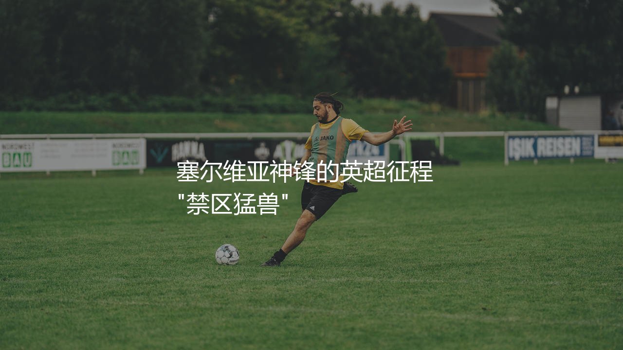 米特罗维奇在英超有多少进球?塞尔维亚神锋的英超征程 "禁区猛兽"-第1张图片-天体号 米特罗维奇在英超有多少进球?塞尔维亚神锋的英超征程 "禁区猛兽"-第1张图片-天体号