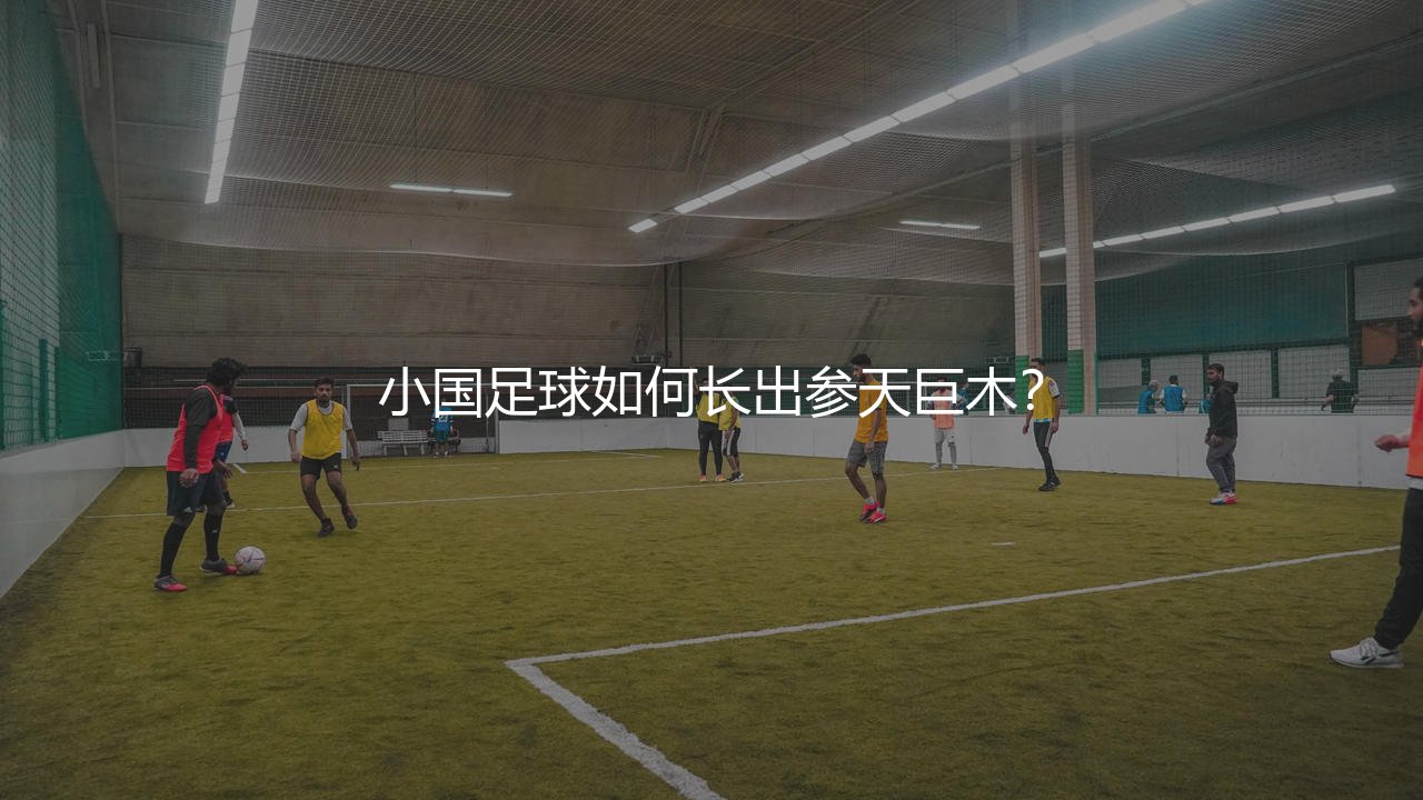 斯洛文尼亚队知名足球明星有哪些？小国足球如何长出参天巨木？-第1张图片-天体号