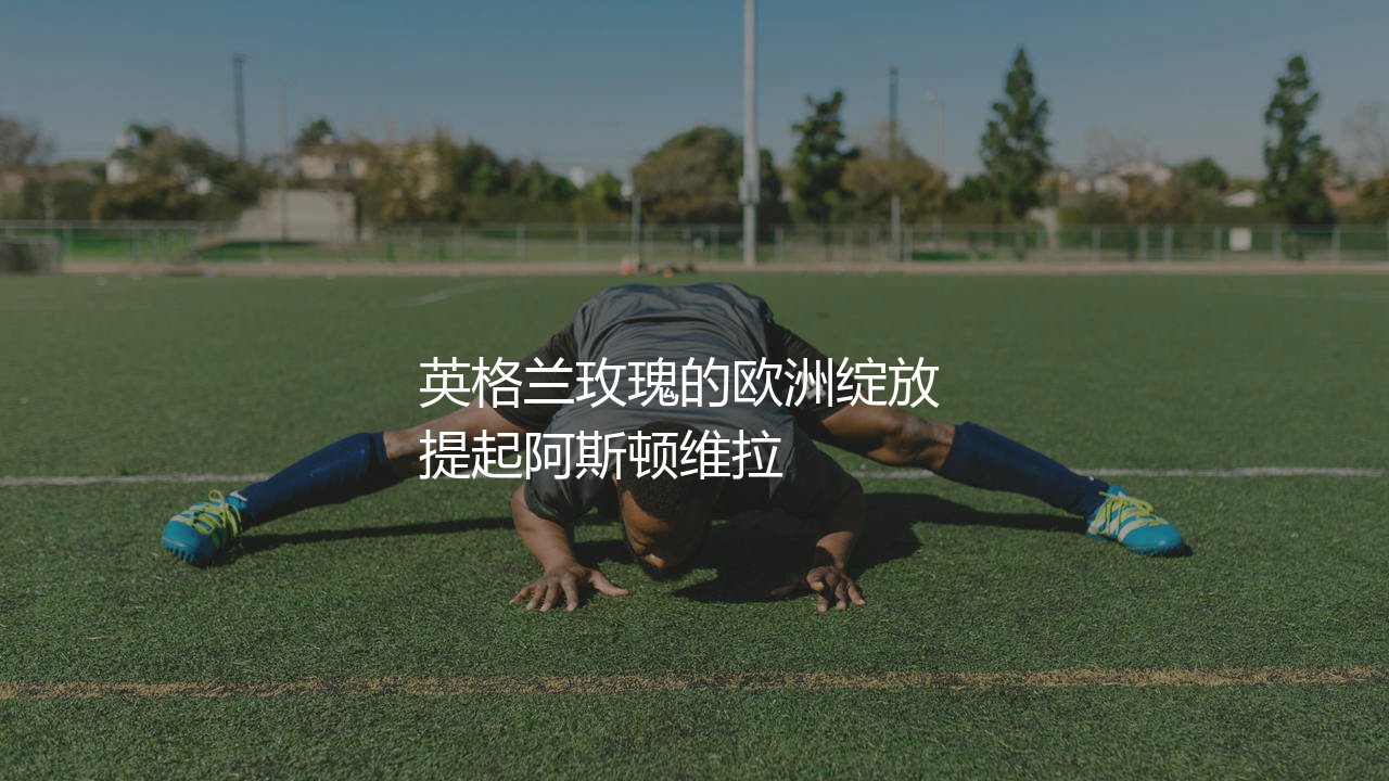 阿斯顿维拉几次欧冠冠军?英格兰玫瑰的欧洲绽放-第1张图片-天体号 阿斯顿维拉几次欧冠冠军?英格兰玫瑰的欧洲绽放-第1张图片-天体号