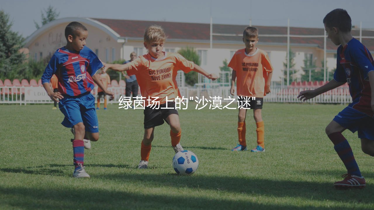 乌兹别克斯坦队参加过世界杯吗?中亚狼绿茵场上的"沙漠之谜"-第1张图片-天体号 乌兹别克斯坦队参加过世界杯吗?中亚狼绿茵场上的"沙漠之谜"-第1张图片-天体号