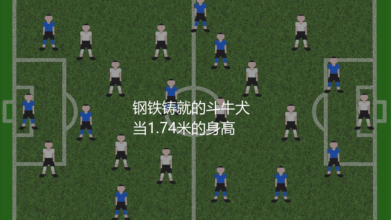 马斯切拉诺身高体重:阿根廷钢铁铸就的斗牛犬-第1张图片-天体号 马斯切拉诺身高体重:阿根廷钢铁铸就的斗牛犬-第1张图片-天体号