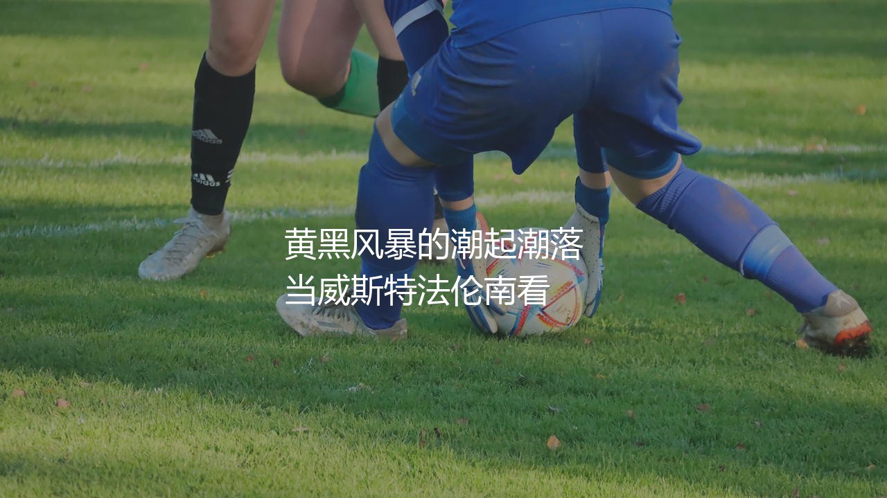 多特蒙德几次德甲冠军?威斯特法伦黄黑风暴的潮起潮落-第1张图片-天体号