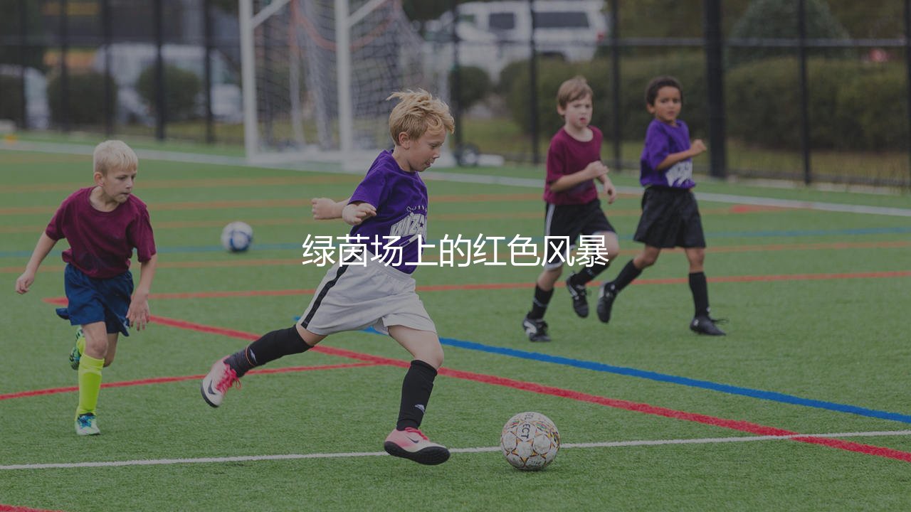 布拉格斯拉维亚几次捷甲冠军?捷克足球绿茵场上的红色风暴-第1张图片-天体号 布拉格斯拉维亚几次捷甲冠军?捷克足球绿茵场上的红色风暴-第1张图片-天体号