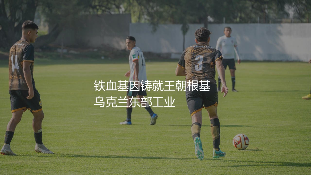顿涅茨克矿工几次乌超冠军?铁血基因铸就王朝根基-第1张图片-天体号 顿涅茨克矿工几次乌超冠军?铁血基因铸就王朝根基-第1张图片-天体号