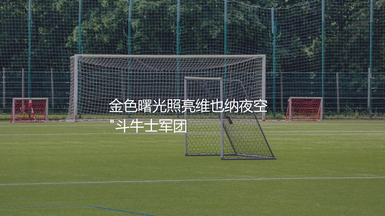 西班牙第一次欧洲杯冠军阵容:金色曙光照亮维也纳夜空 -第1张图片-天体号 西班牙第一次欧洲杯冠军阵容:金色曙光照亮维也纳夜空 -第1张图片-天体号