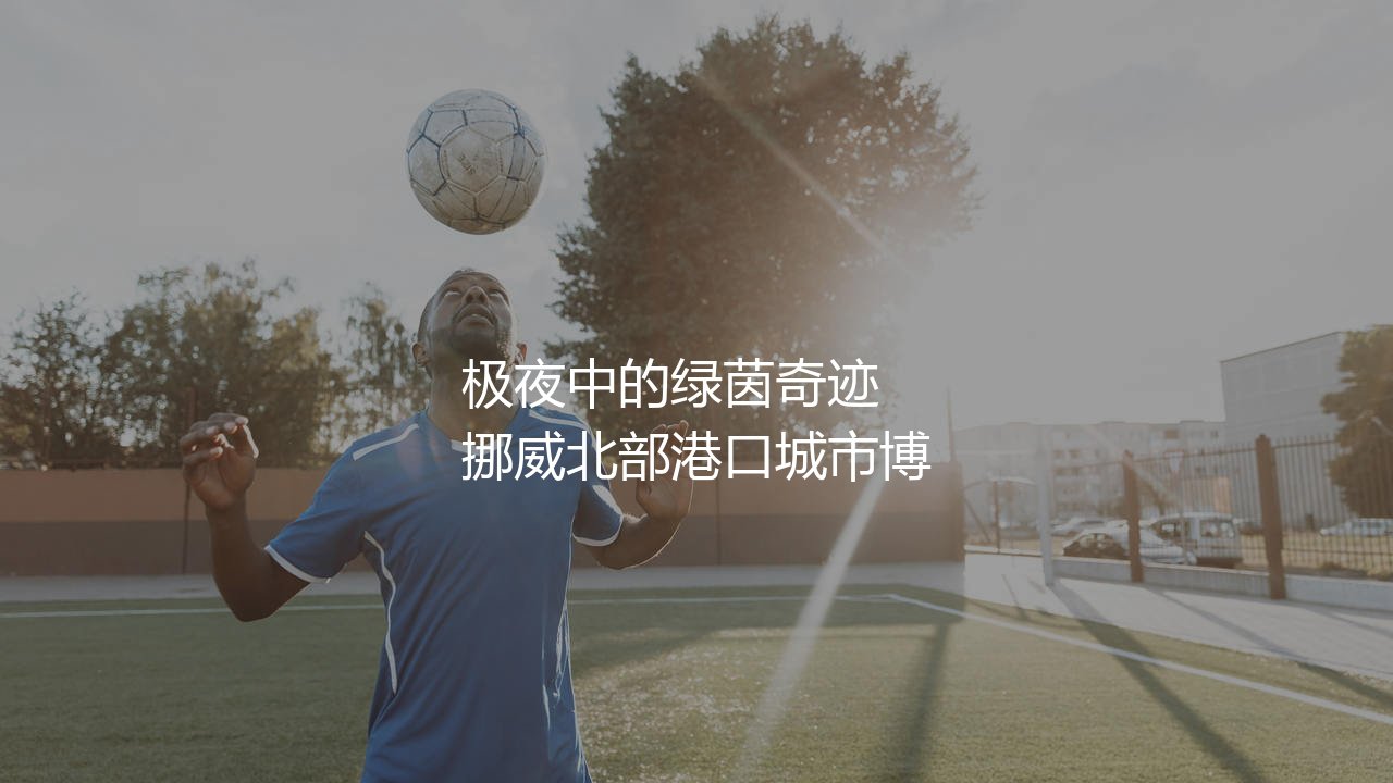 博德闪耀又叫什么名字?极夜中的绿茵奇迹-第1张图片-天体号 博德闪耀又叫什么名字?极夜中的绿茵奇迹-第1张图片-天体号