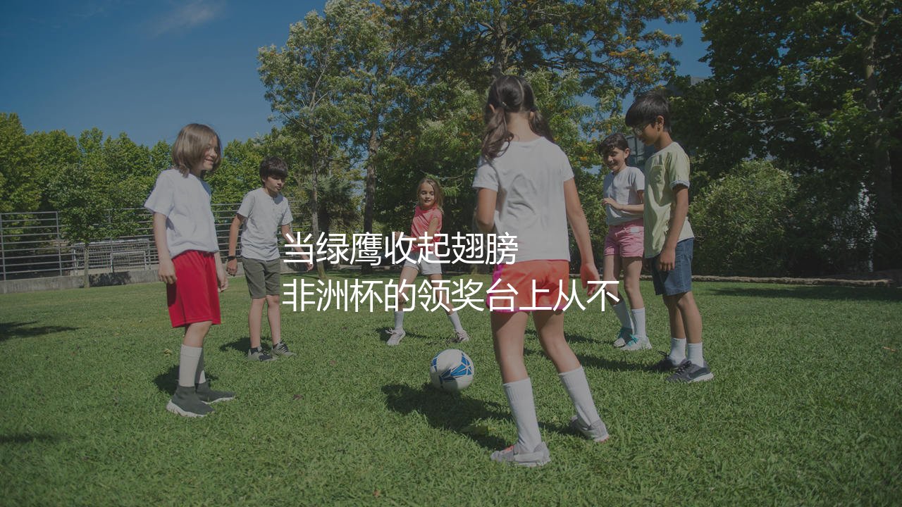 尼日利亚队几次非洲杯冠军?当绿鹰收起翅膀-第1张图片-天体号 尼日利亚队几次非洲杯冠军?当绿鹰收起翅膀-第1张图片-天体号