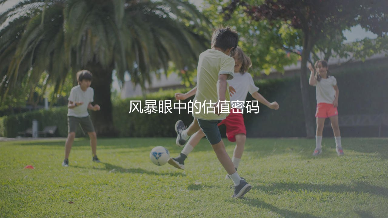 法兰克福队球员身价一览:风暴眼中的估值密码-第1张图片-天体号 法兰克福队球员身价一览:风暴眼中的估值密码-第1张图片-天体号
