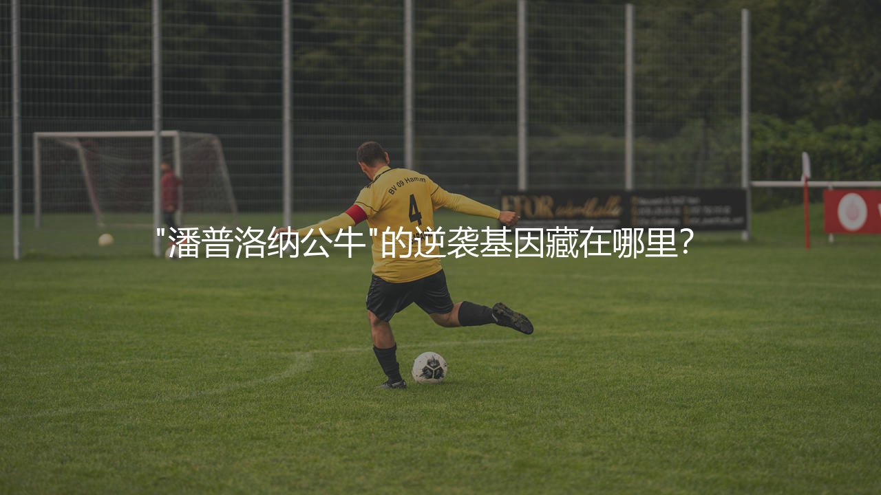 奥萨苏纳队史知名球星:"潘普洛纳公牛"的逆袭基因藏在哪里?-第1张图片-天体号 奥萨苏纳队史知名球星:"潘普洛纳公牛"的逆袭基因藏在哪里?-第1张图片-天体号