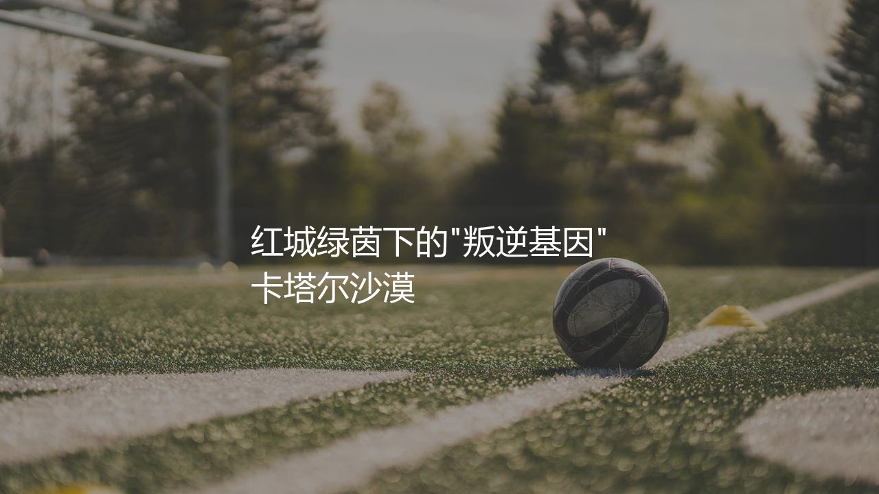 摩洛哥队2022世界杯阵容:红城绿茵下的"叛逆基因"-第1张图片-天体号 摩洛哥队2022世界杯阵容:红城绿茵下的"叛逆基因"-第1张图片-天体号