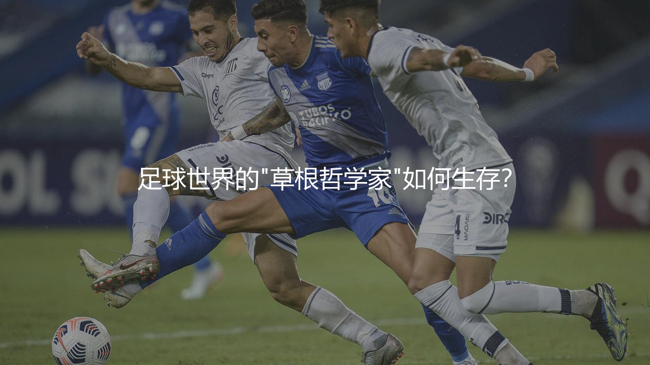 锡塔德福图纳在荷甲啥水平？足球世界的"草根哲学家"如何生存？-第1张图片-天体号