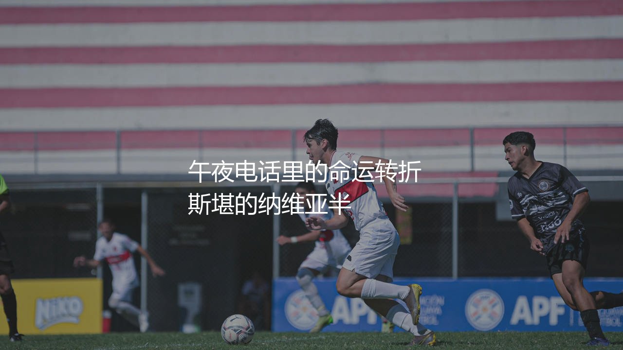 丹麦队夺得欧洲杯冠军是哪一年？午夜电话里的命运转折-第1张图片-天体号