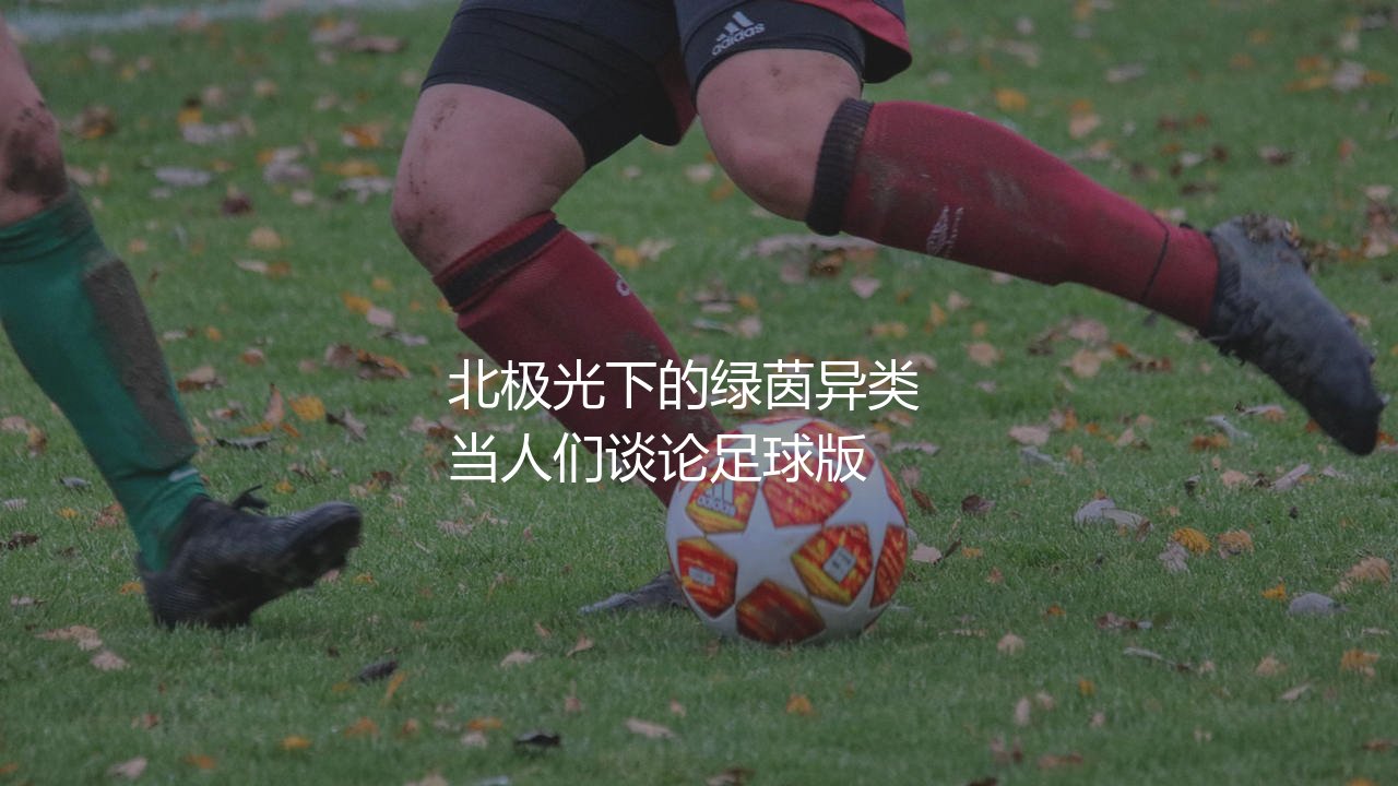 博德闪耀是哪家足球俱乐部?北极光下的绿茵异类-第1张图片-天体号 博德闪耀是哪家足球俱乐部?北极光下的绿茵异类-第1张图片-天体号