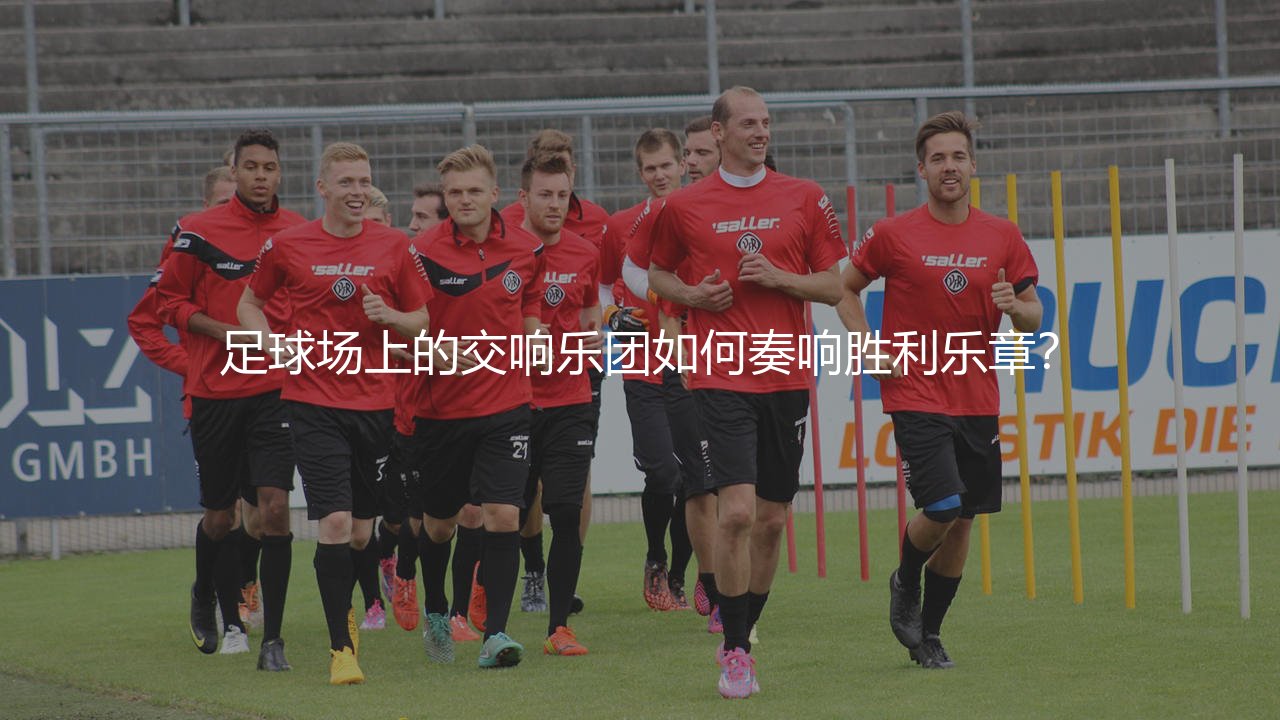 西班牙队2010年世界杯冠军主力阵容:足球场上的交响乐团如何奏响胜利乐章?-第1张图片-天体号 西班牙队2010年世界杯冠军主力阵容:足球场上的交响乐团如何奏响胜利乐章?-第1张图片-天体号