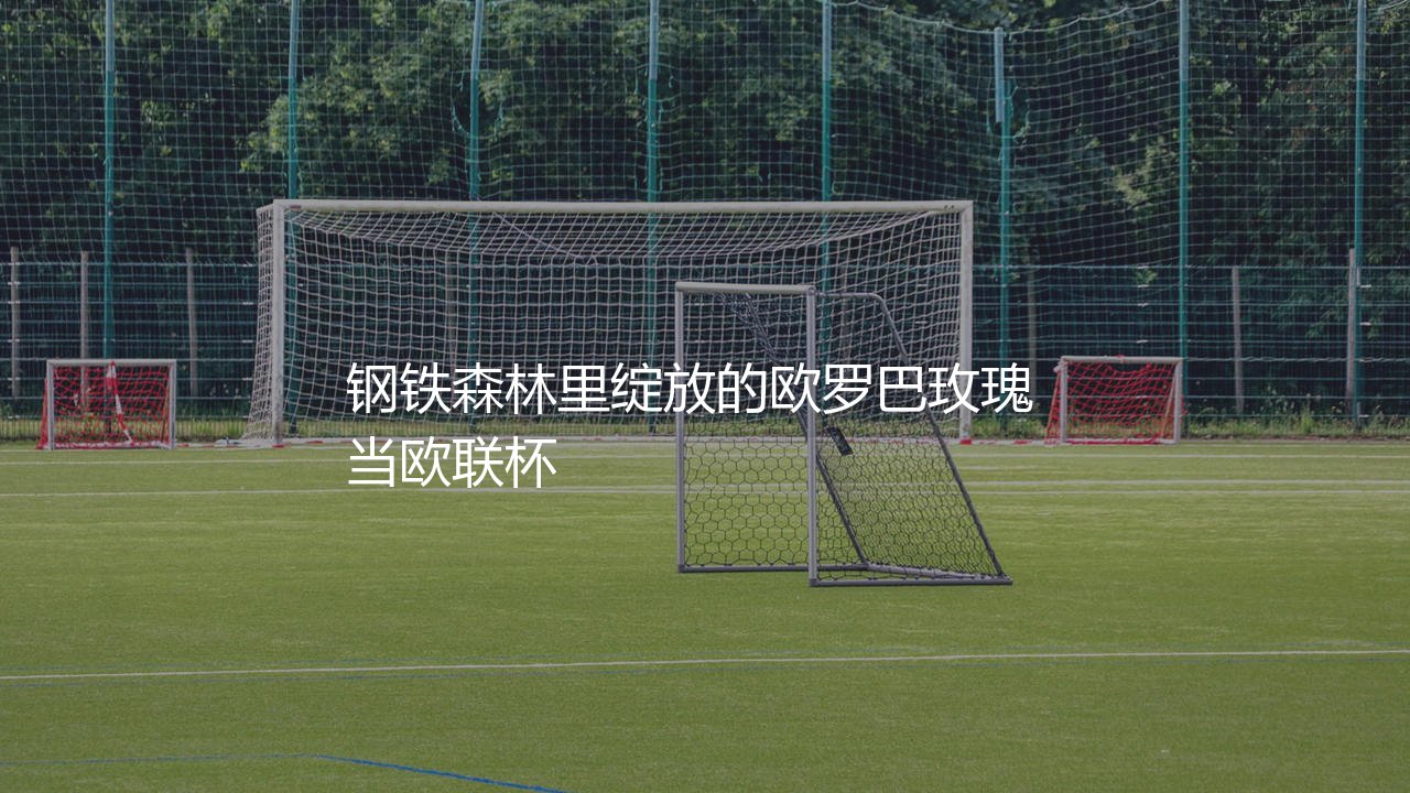 法兰克福不败夺得欧联杯冠军主力阵容：钢铁森林里绽放的欧罗巴玫瑰-第1张图片-天体号